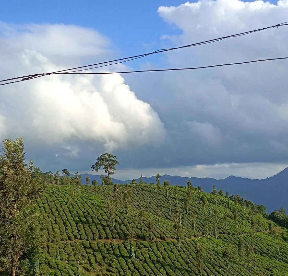 Jackroot Heritage Athirappilly Villa
