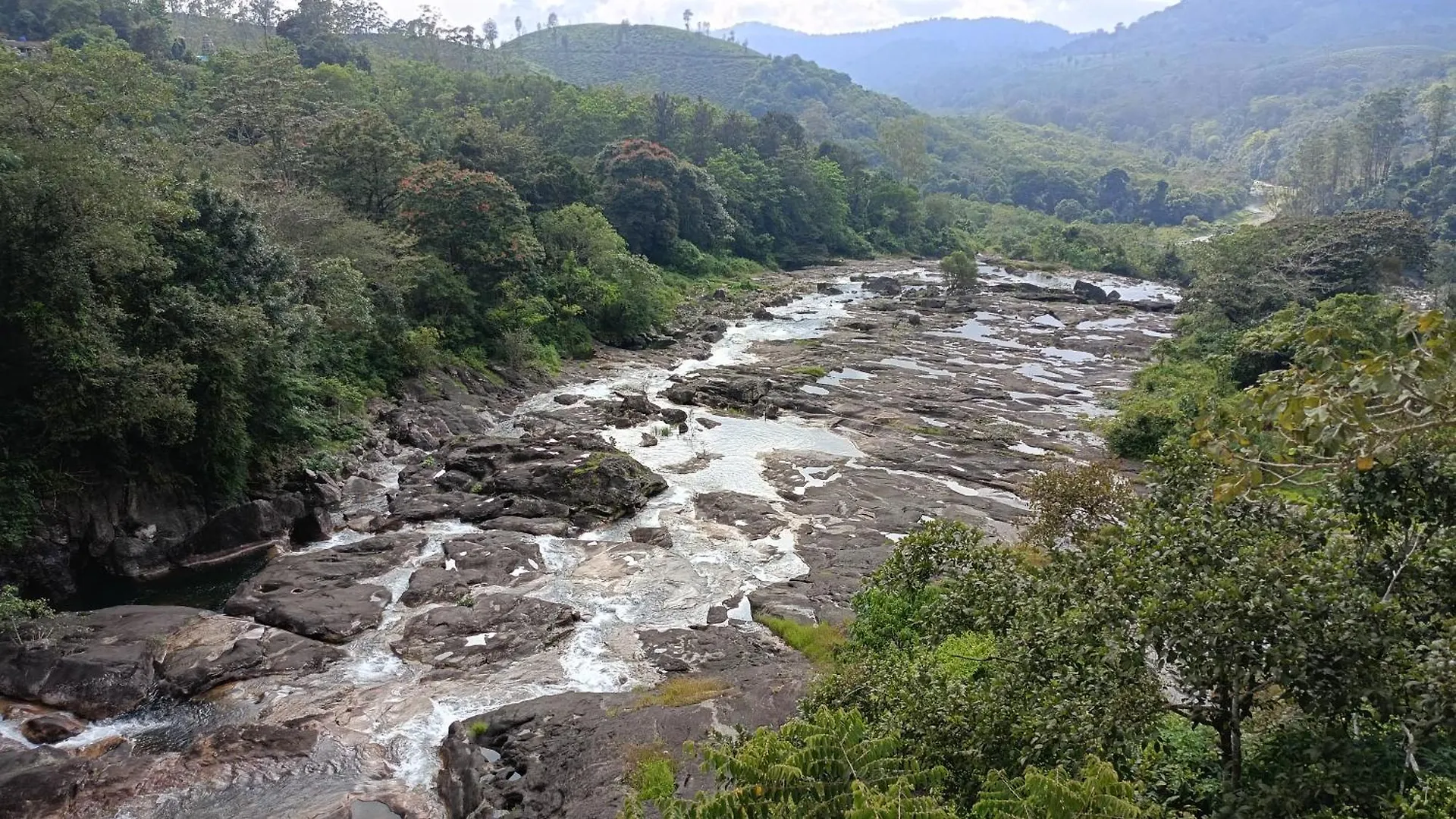 Jackroot Heritage Athirappilly Indien